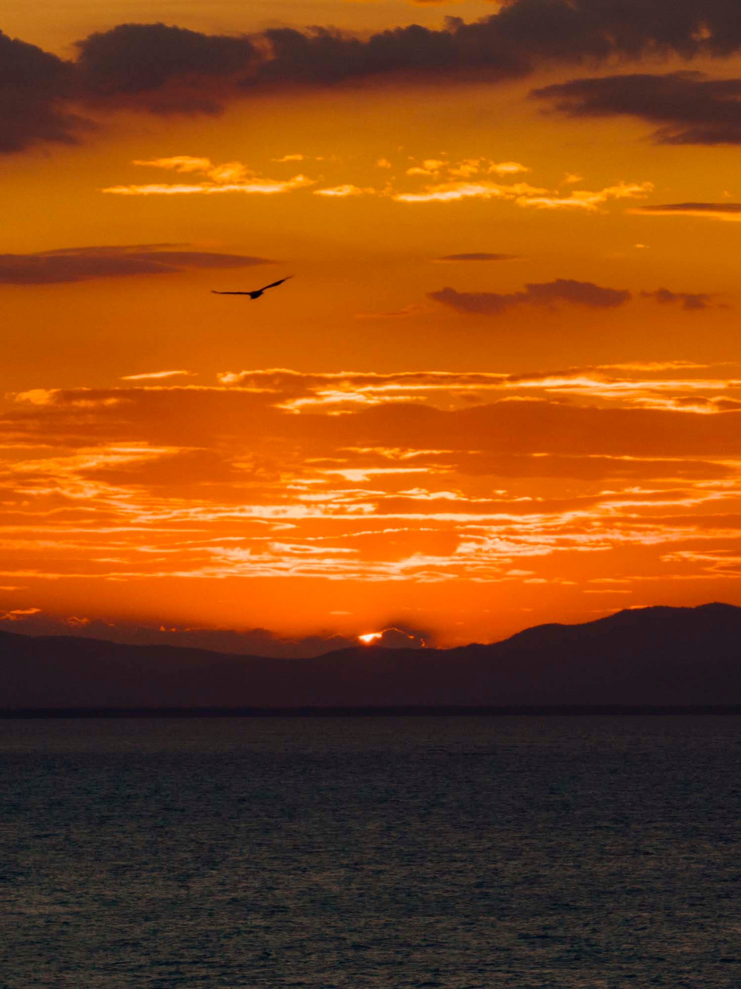 Caribbean – 2027 – W2 photo 6