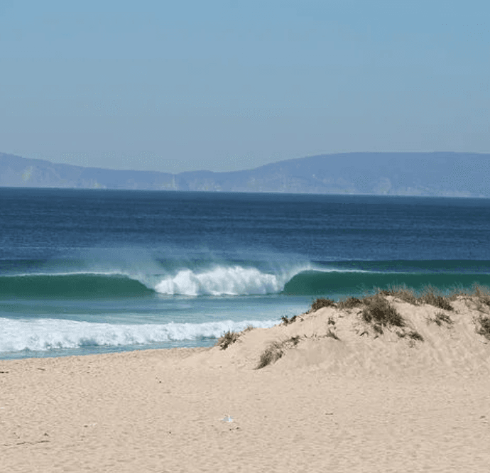 Portugal – 2026 – W26 photo 2