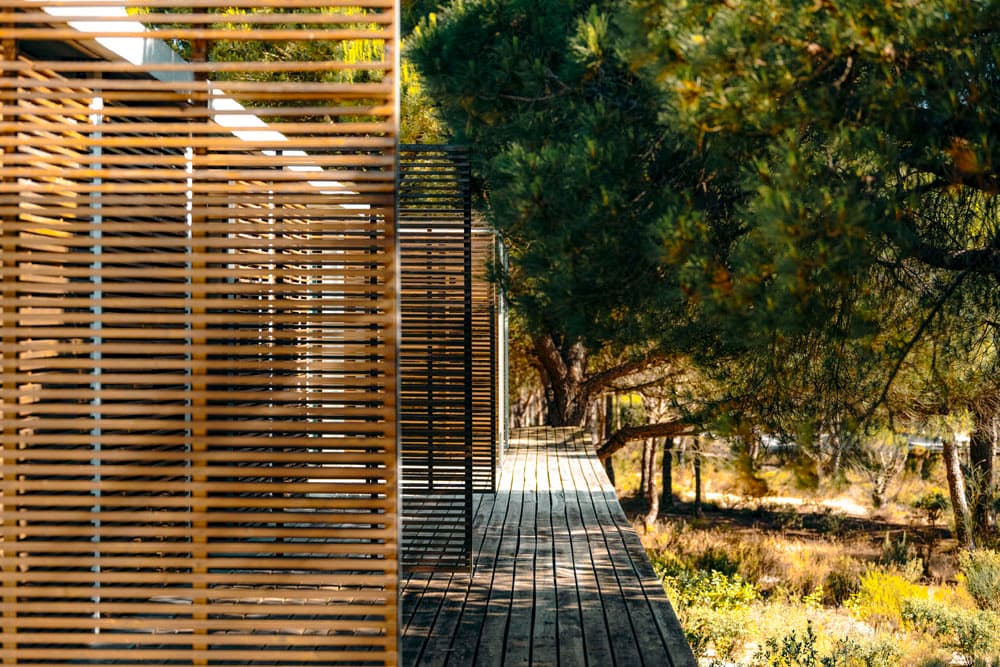 Portugal – 2026 – W26 photo 6